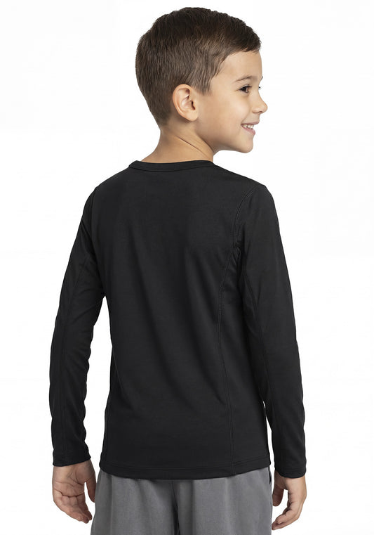 CAMISETA MICROFIBRA MANGA LARGA