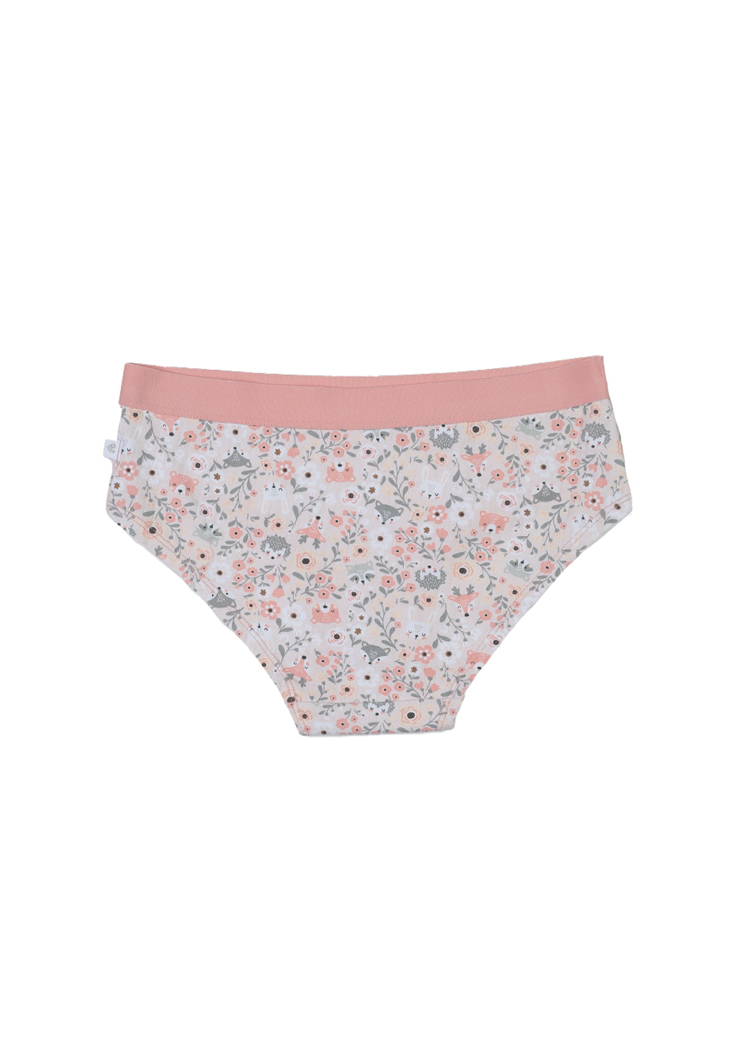 TRIPACK PANTALETA ALGODON