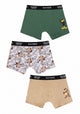 TRIPACK BOXER LARGO ALGODON CAFÉ WARNER TEENS HOMBRE
